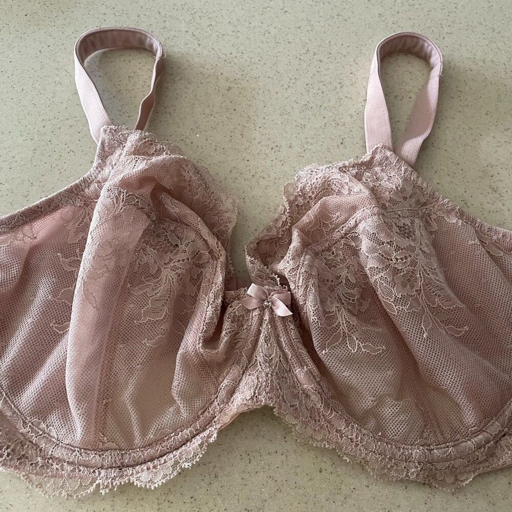 Panache Ana Rose Color Non-Padded Plunge Underwire Bra (9396)